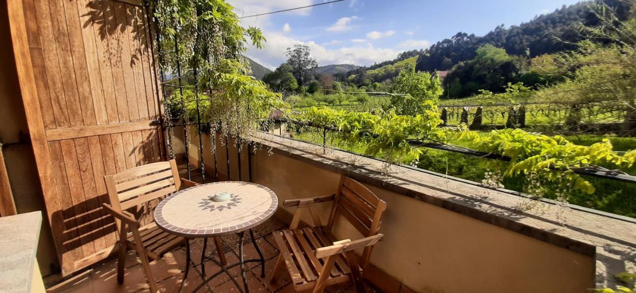 Ecohotel Rural Angiz Busturia 外观 照片