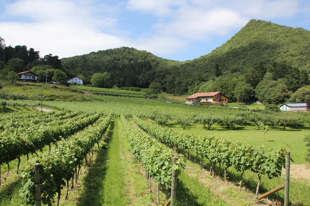 Ecohotel Rural Angiz Busturia 外观 照片